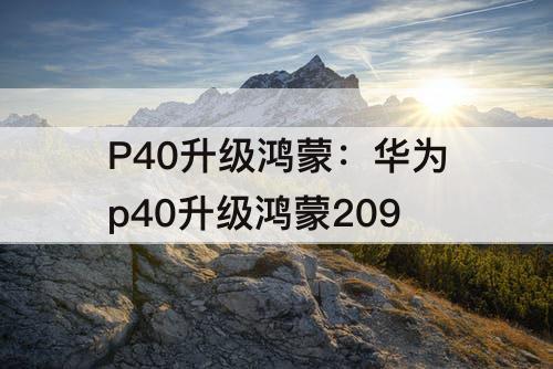 P40升级鸿蒙：华为p40升级鸿蒙209