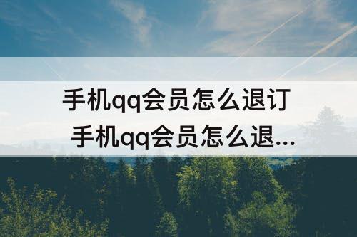 手机qq会员怎么退订 手机qq会员怎么退订会员