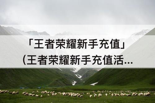 「王者荣耀新手充值」(王者荣耀新手充值活动)