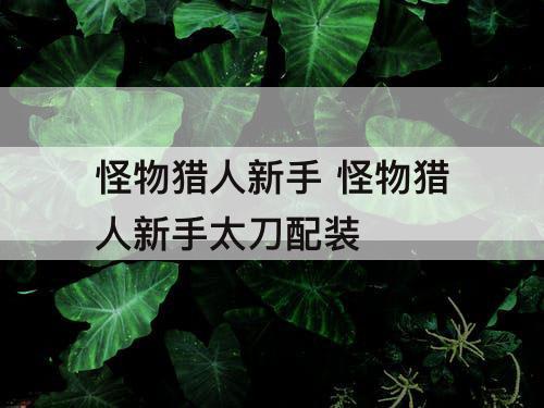 怪物猎人新手 怪物猎人新手太刀配装
