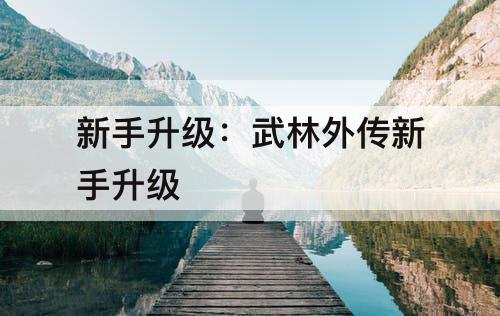 新手升级：武林外传新手升级