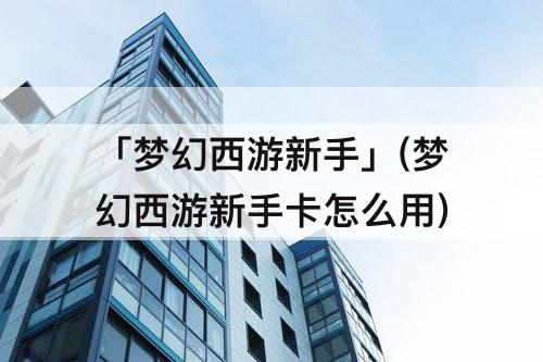 「梦幻西游新手」(梦幻西游新手卡怎么用)