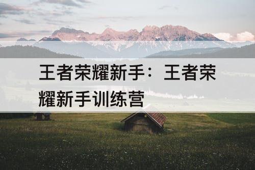 王者荣耀新手：王者荣耀新手训练营