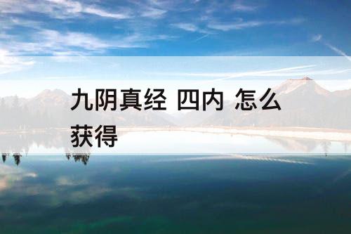 九阴真经 四内 怎么获得