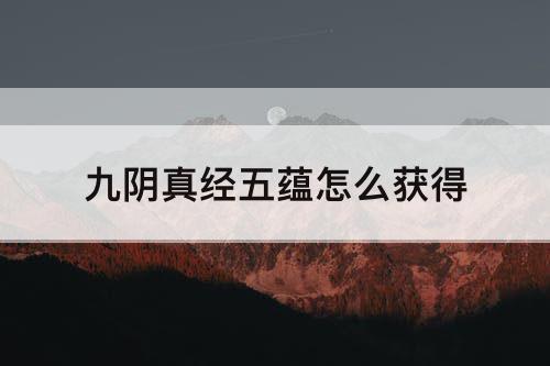 九阴真经五蕴怎么获得