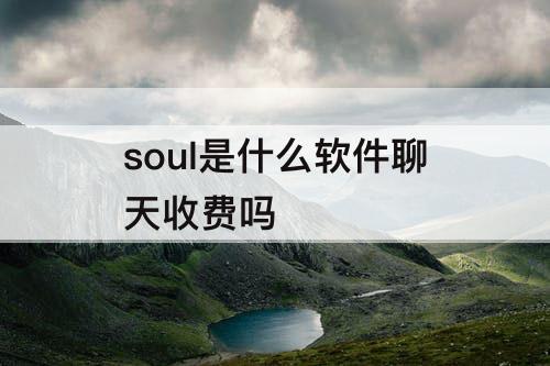 soul是什么软件聊天收费吗