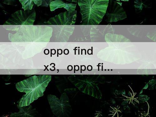 oppo find x3，oppo find x3屏幕怎么样