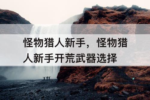 怪物猎人新手，怪物猎人新手开荒武器选择
