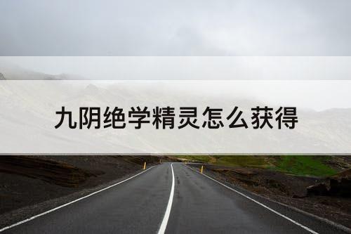 九阴绝学精灵怎么获得