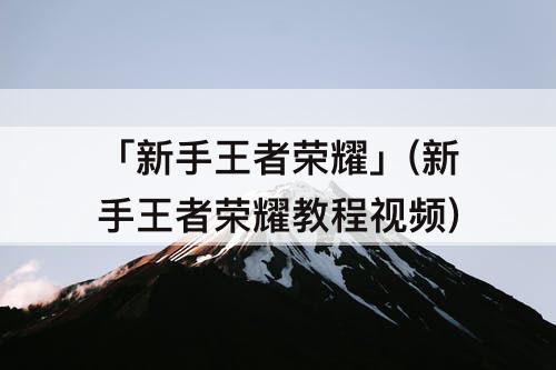 「新手王者荣耀」(新手王者荣耀教程视频)