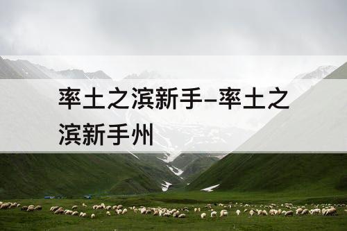 率土之滨新手-率土之滨新手州