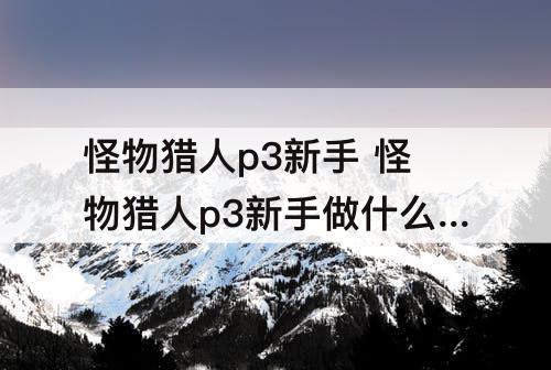 怪物猎人p3新手 怪物猎人p3新手做什么套装
