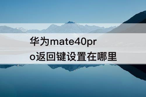 华为mate40pro返回键设置在哪里