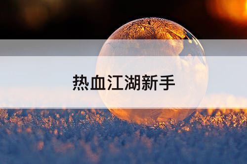 热血江湖新手