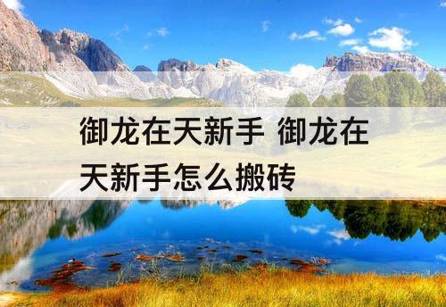 御龙在天新手 御龙在天新手怎么搬砖