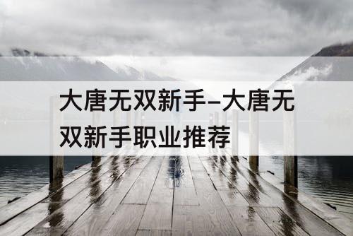 大唐无双新手-大唐无双新手职业推荐
