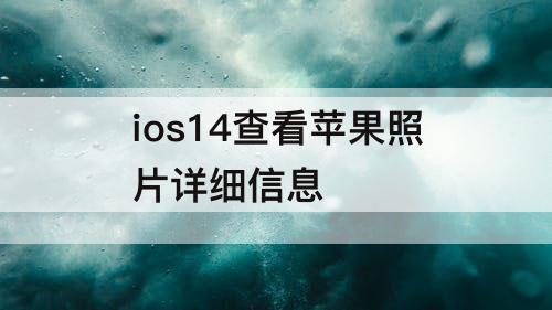 ios14查看苹果照片详细信息