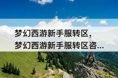 梦幻西游新手服转区，梦幻西游新手服转区咨询