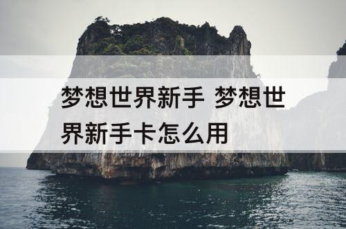 梦想世界新手 梦想世界新手卡怎么用