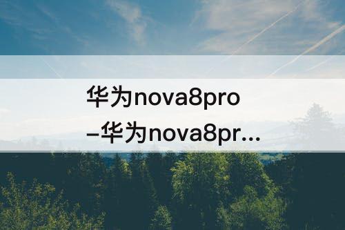 华为nova8pro-华为nova8pro怎么分屏聊天