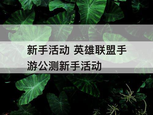 新手活动 英雄联盟手游公测新手活动