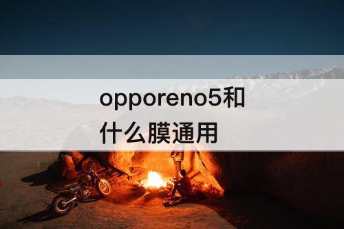 opporeno5和什么膜通用