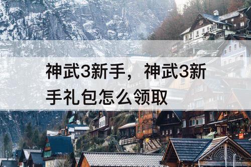 神武3新手，神武3新手礼包怎么领取