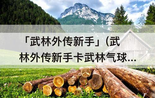 「武林外传新手」(武林外传新手卡武林气球)