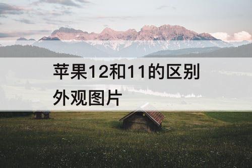 苹果12和11的区别外观图片