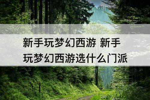 新手玩梦幻西游 新手玩梦幻西游选什么门派