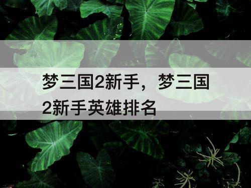 梦三国2新手，梦三国2新手英雄排名