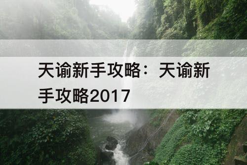 天谕新手攻略：天谕新手攻略2017
