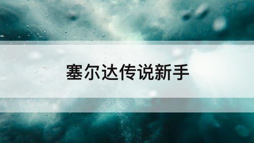 塞尔达传说新手