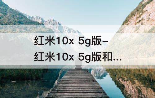 红米10x 5g版-红米10x 5g版和4g版区别