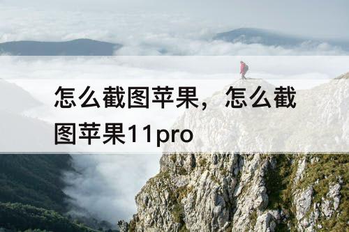 怎么截图苹果，怎么截图苹果11pro