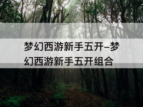 梦幻西游新手五开-梦幻西游新手五开组合