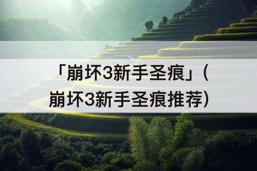 「崩坏3新手圣痕」(崩坏3新手圣痕推荐)