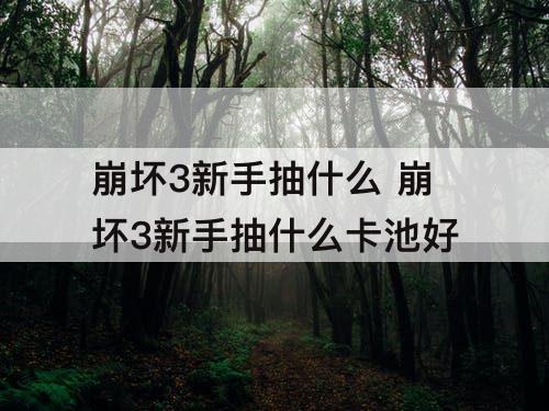 崩坏3新手抽什么 崩坏3新手抽什么卡池好