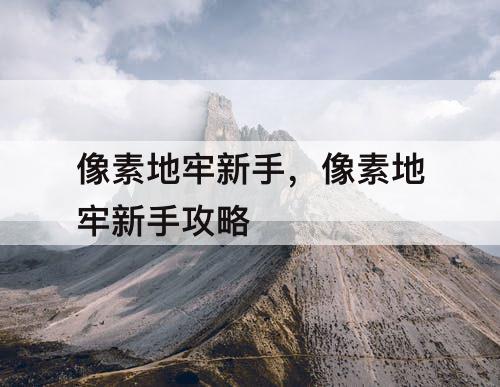 像素地牢新手，像素地牢新手攻略