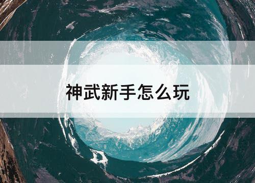 神武新手怎么玩
