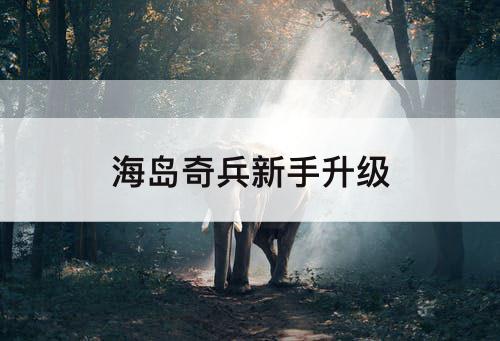 海岛奇兵新手升级