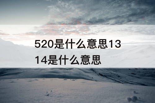 520是什么意思1314是什么意思