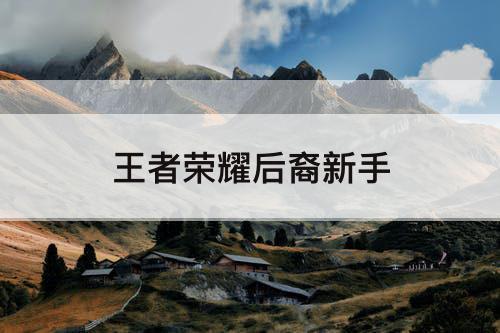王者荣耀后裔新手