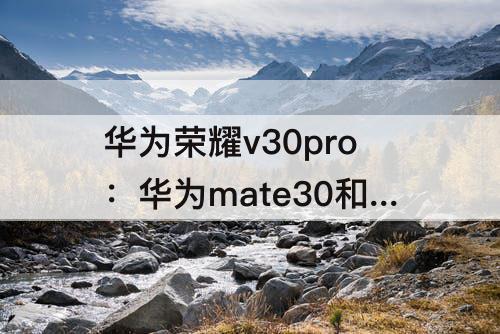 华为荣耀v30pro：华为mate30和华为荣耀v30pro哪个好