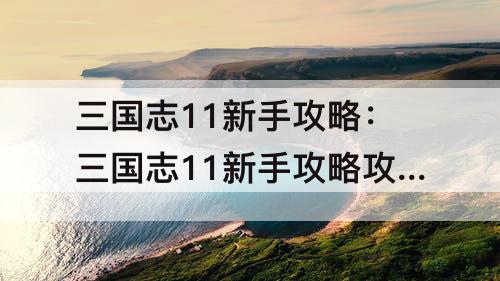 三国志11新手攻略：三国志11新手攻略攻略
