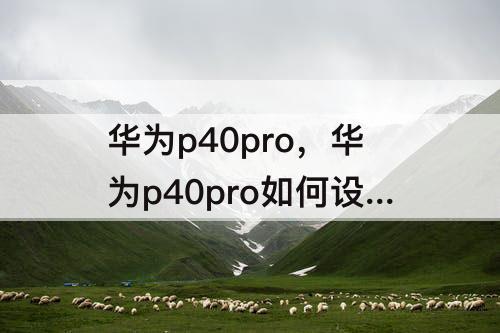 华为p40pro，华为p40pro如何设置夜景参数