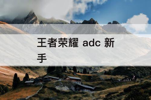 王者荣耀 adc 新手