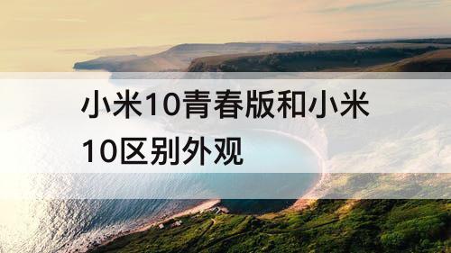 小米10青春版和小米10区别外观