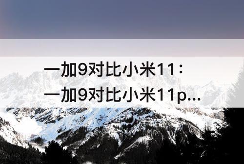 一加9对比小米11：一加9对比小米11pro