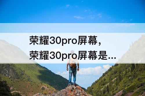 荣耀30pro屏幕，荣耀30pro屏幕是哪家的